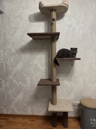Когтеточка для кота дряпка Мур-Мяу Дана 50х50х210см для кошек в джутовой веревке Коричнево-бежевый МТ фото от покупателей 11