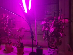 Фітолампа світлодіодна LED Plant Grow Light на 4 лампи для росту рослин на прищіпці фітосвітильник для кімнатних квітів, розсади фото від покупців 1