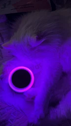 Ночник на аккумуляторе настольный детский светодиодный ночная led лампа в спальню с подсветкой с пультом маленький 7 цветов сенсорный для сна новорожденных компактный лед ночник подарок для мальчика девочки OnePro Бежевый 73731 фото от покупателей 13