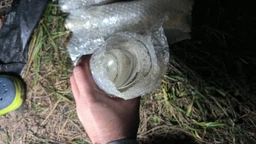 Коньяк Adjari 3* 0.7 л 40% (4823126403540_4823122207500) фото від покупців 2