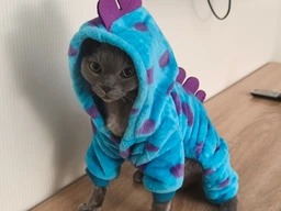 Костюм для котів (кішок) флісовий Саллі L Блакитний фото від покупців 2