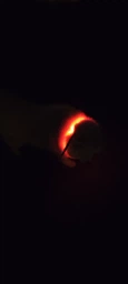 Светодиодный, водостойкий LED ошейник для собак с зарядкой USB, 35 см, размер S (зеленый) фото от покупателей 17