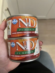 Вологий корм для цуценят малих порід Farmina N&D Pumpkin Фарміна з ягням гарбузом та чорницею консерва 140 г (8606014102307)