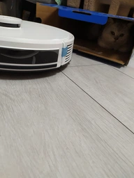 Робот-пылесос Ecovacs Y1 PRO (DLX34 Black) фото від покупців 12