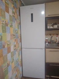 Холодильник Gorenje N619EAW4 фото от покупателей 5