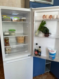 Холодильник Gorenje RK4162PW4 Gorenje RK4162PW4 952810 фото от покупателей 4