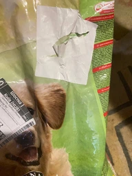 Сухой корм для взрослых активных собак Purina Friskies с говядиной 10 кг фото от покупателей 5