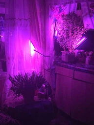 Фітолампа для рослин Brille LED-36/4x7W Fito GROW RM (L137-021)