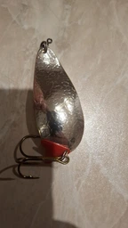 Блешня коливання Jaxon Karas Duo 1SG вага 18g, довжина 5,5cm,BW-JKU1SG фото від покупців 1