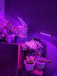 Фітолампа на 4 лампи світлодіодна LED для росту рослин на прищіпці фітосвітильник для кімнатних квітів, розсади, орхідей фіто лампа