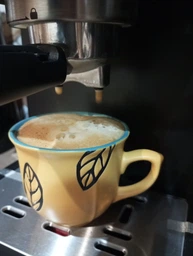 Кофеварка рожковая CECOTEC Power Espresso 20 ColdBrew Touch фото от покупателей 1