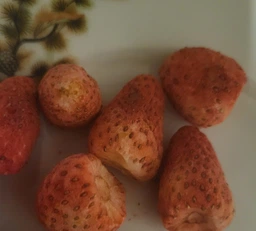 Клубника сублимированная Panfruit Органическая Целая 15 г (4820195680681)