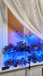 Фітолампа на 4 лампи світлодіодна LED для росту рослин на прищіпці фітосвітильник для кімнатних квітів, розсади, орхідей фіто лампа