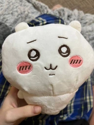Игрушка Тикава из манги (15 см) Chiikawa мягкая игрушка для детей (арт 14503) фото от покупателей 1