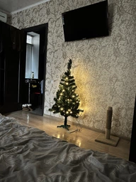 Штучна Ялинка Royal Tree RT-1-1 Казка 100 см зелена фото от покупателей 14
