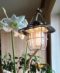 Ліхтар Westinghouse Retro 4W LED Filament WF242 Type-C з функцією Power Bank (WF242-CB) фото від покупців 3