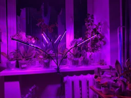 Фітолампа на 4 лампи світлодіодна LED для росту рослин на прищіпці фітосвітильник для кімнатних квітів, розсади, орхідей фіто лампа