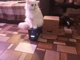 ИБП Powercom для котла с чистой синусоидой (INF1100) фото от покупателей 3