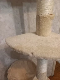 Багаторівнева котяча дряпка Springos 245 - 260 cm kremowy (5907719457741) фото від покупців 4