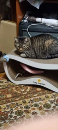 Когтеточка-лежанка для кошек Say Meow Grace гофрокартон, 67х27х24 см (8040190103008) фото от покупателей 6