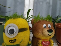 Набор для выращивания Травянчик Мишка I love you