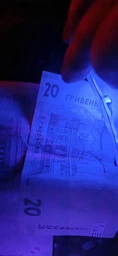 Сушка для обуви электросушилка ультрафиолетовая сушилка электрическая Brillix StepDry Lite1 сушки кроссовок ботинок электросушилки от сети электросушка обувь обувная противогрибковая антигрибковая портативная походная желтая фото от покупателей 11