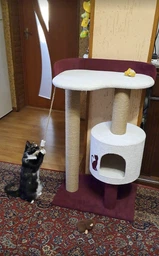 Кошачья когтеточка лазалка в домик с лежанкой для кошек кото 90х60х40см молочно бордовая