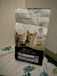 Сухой корм Purina Pro Plan Kitten Healthy Start для котят с курицей 1.5 кг
