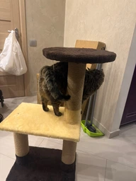 Когтеточка для кота дряпка Мур-Мяу Аккорд 44х30х87 см для кошек в сизалевой веревке Серо-синий фото от покупателей 6