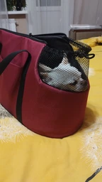 Сумка-переноска для котов, собак, маленьких домашних животных до 8 кг бордовая фото от покупателей 1