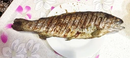 Гриль TEFAL OptiGrill+ Initial GC706D34 фото від покупців 10