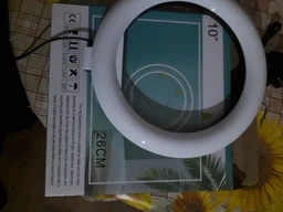 Кольцевая LED лампа LC-300 с 1 креплением для телефона и USB Черный 10 Вт (SN9QI11812)