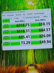 Накопичувач SSD Kingston NV3 2 TB (SNV3S/2000G)