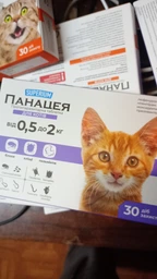 Від бліх та кліщів SUPERIUM Панацея - протипаразитарні краплі для котів 0,5-4 кг (9134) фото від покупців 2