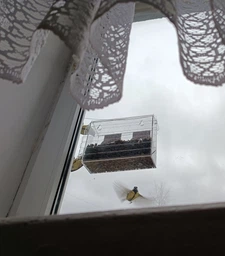 Кормушка для птиц на окно House_for_birds "Колежанка" фото от покупателей 1