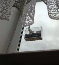 Кормушка для птиц на окно House_for_birds "Колежанка"