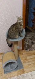 Дряпка для кота Мур-Мяу Лео 40х40х71 см для кішок у джутовій мотузці Коричнево-бежевий