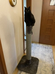 Кігтеточка для великих котів Flamingo Big Cat, 119 см х 56 см х 56 см фото від покупців 1