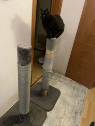 Кігтеточка для великих котів Flamingo Big Cat, 119 см х 56 см х 56 см