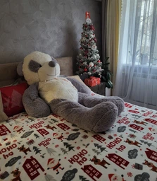 Плед Biltex Flannel Christmas Town Білий Євро 200х220 см з новорічним принтом (4820298410642) фото від покупців 2