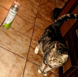 Нейтрализатор запахов домашних животных Lucky Pet с ароматом Лайма 500 мл (4820276196117)