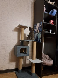 Домик когтеточка для кота дряпка для кошки Мур-Мяу Алиса 60х60х138 см в джутовой веревке Темно коричнево-бежевый фото от покупателей 14