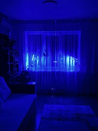 Фитолампа светодиодная LED Plant Grow Light на 4 лампы для роста растений на прищепке фитосветильник для комнатных цветов, рассады фото от покупателей 12