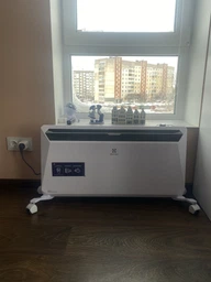 Экономный электрический обогреватель конвектор отопления Electrolux ECH/AGI-2000 M 2000 Вт настенный напольный фото от покупателей 10