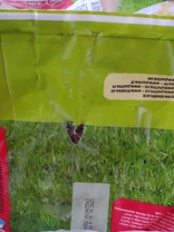 Сухой корм для взрослых активных собак Purina Friskies с говядиной 10 кг фото от покупателей 4