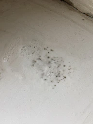 Средство Glutoclean от плесени с хлором 0.5 л (4044899387916) фото от покупателей 3
