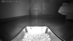 Автоматична годівниця для котів і собак Papifeed 6L, смарт годівниця з Відеокамерою та WIFI, Білий (147-WHITE) фото від покупців 2