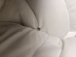 Одеяло Sleepingg всесезонное евро 200x220 см антиаллергенное волокно Белое стеганое (4820227283194) фото от покупателей 10