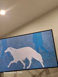 Телевизор Samsung QLED 85" QE85LS03FAUXUA фото от покупателей 2