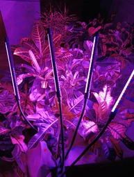 Фітолампа на 4 лампи світлодіодна LED для росту рослин на прищіпці фітосвітильник для кімнатних квітів, розсади, орхідей фіто лампа фото від покупців 1